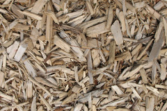biomass boilers Harlestone